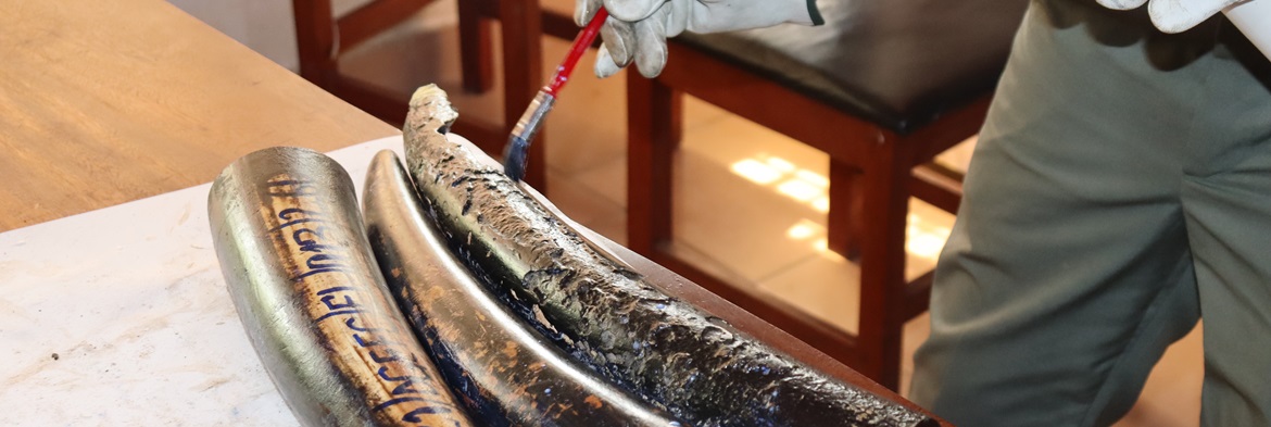 DeterTech SmartWater: The Invisible Solution Against Ivory Smuggling