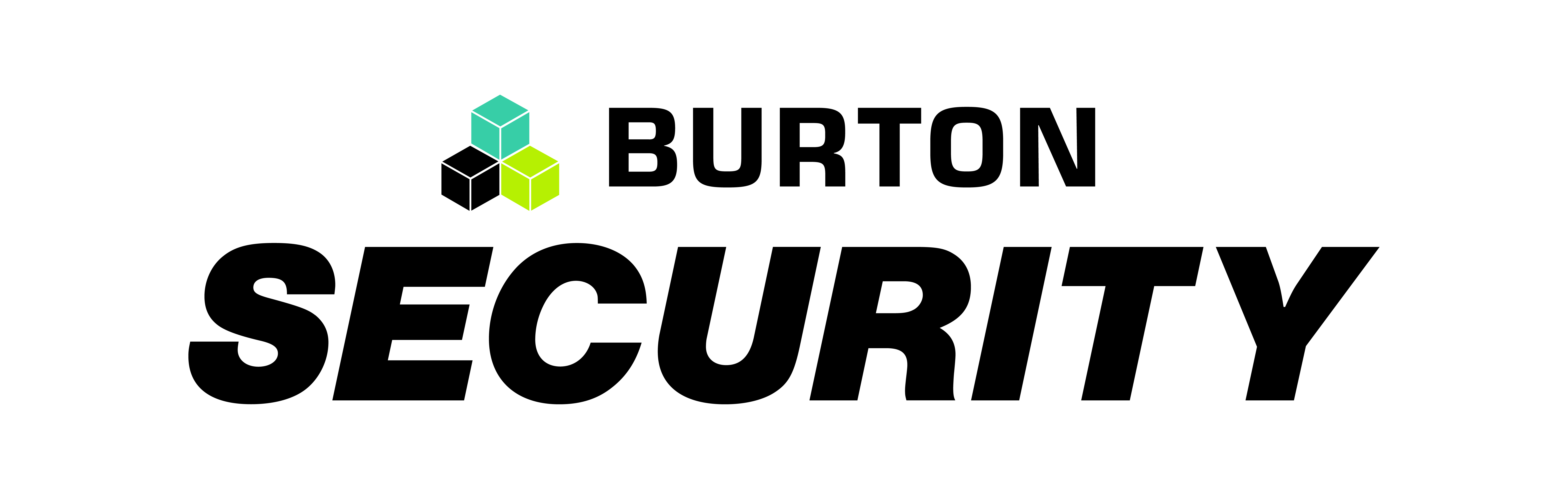 Burton Security Ltd