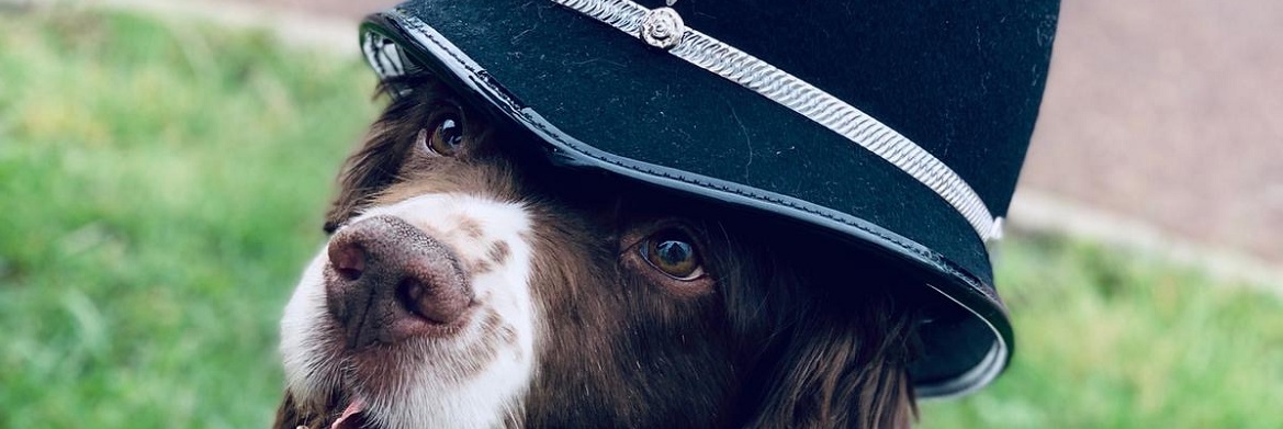 Dougie the dog, a career dedicated to safety and security